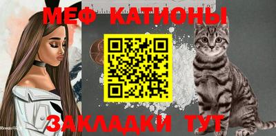 шишки Кингисепп