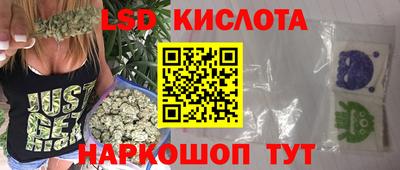 шишки Кингисепп