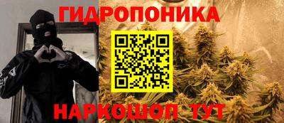 шишки Кингисепп