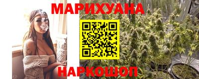 шишки Кингисепп