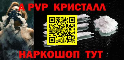 шишки Кингисепп