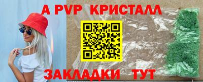 шишки Кингисепп