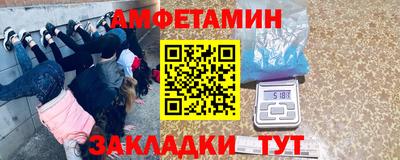 шишки Кингисепп
