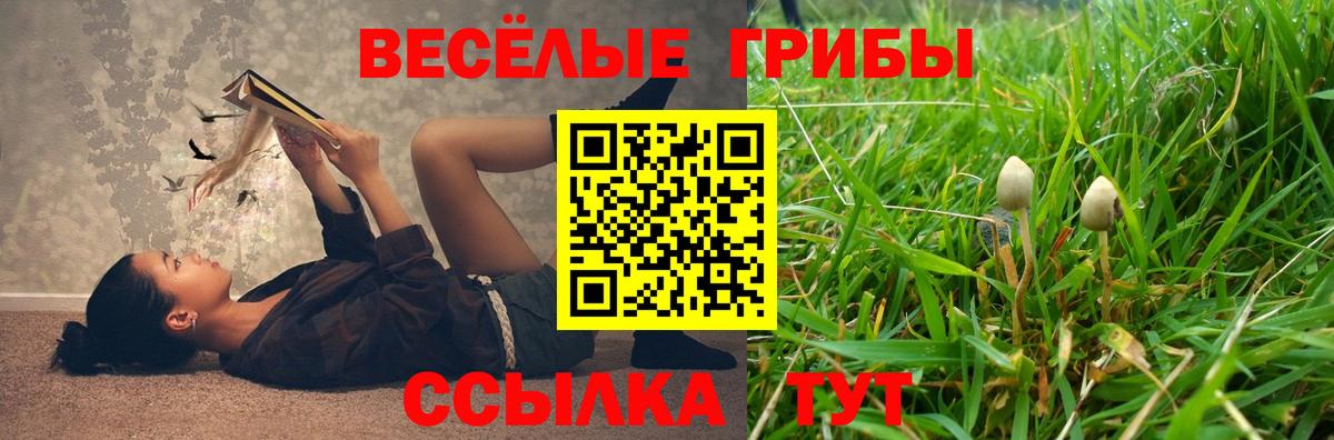 Галлюциногенные грибы Psilocybe  Вход с VPN  Галлюциногенные грибы мицелий  Лабытнанги 