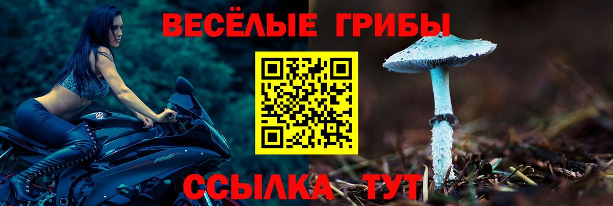 Псилоцибиновые грибы GOLDEN TEACHER Лабытнанги